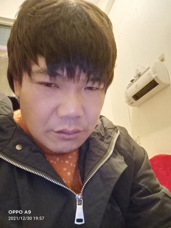 小鸟找窝的第二张照片--金门相亲网